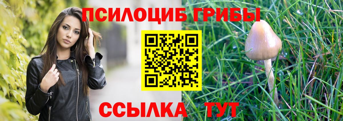 Славгород  Галлюциногенные грибы мицелий  Вход с VPN 
