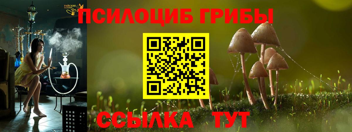Галлюциногенные грибы Magic Shrooms Славгород